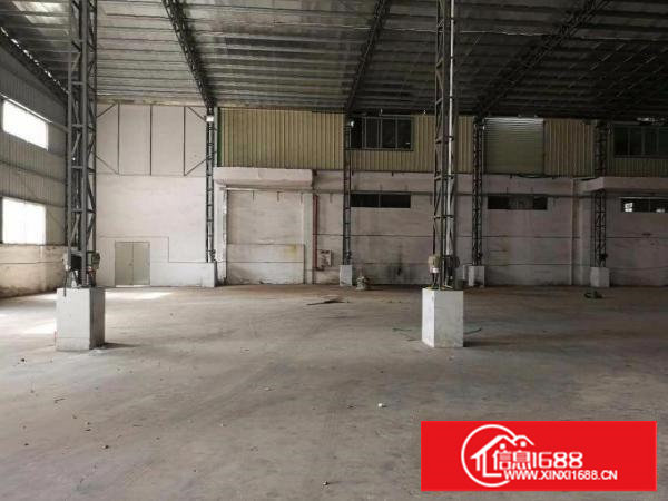 沙湖靠大路800平米独院钢构厂房出租（8米滴水）