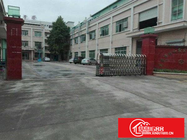 凤岗竹塘标准厂房一楼1200平米出租可分租