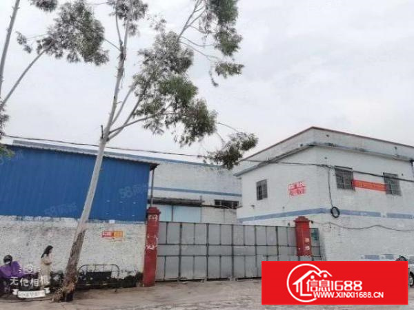 独门独院可办环评价格实惠杏坛工业区1500方厂房出租