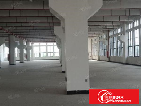 清溪原房东超大空地红本厂房