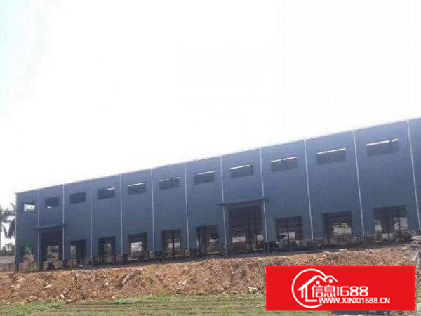 1300平方独院钢构厂房招租500平起分租