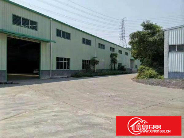 大岭山原房东钢构厂房4000平方招租滴水8米形象好交通方便