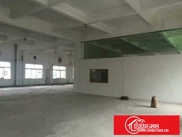 龙岗区龙岗标准厂房出租1楼600平方