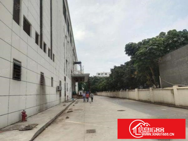 宝安区原房东花园式红本独院可做数据库厂房3栋78048平出租