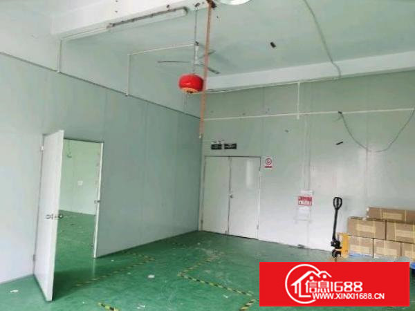 龙华大浪南路新出500平正规厂房，20元一平，先到先得！