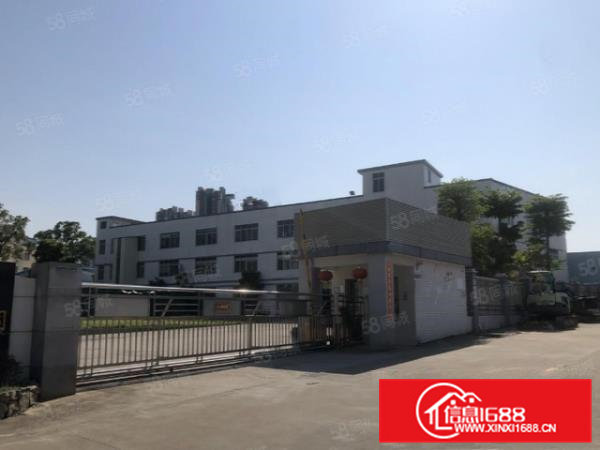 东坑镇独院标准厂房出租12500平方形象佳可办环交通便利