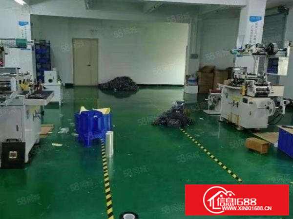 桥头镇稀有带豪华装修标准厂房出租