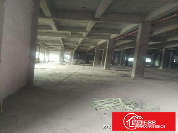 万江一楼仓库出租楼上厂房办公楼招租