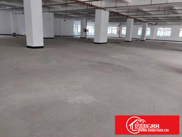 智能装备产业园全新厂房出租一楼3500平层高6米水电齐全