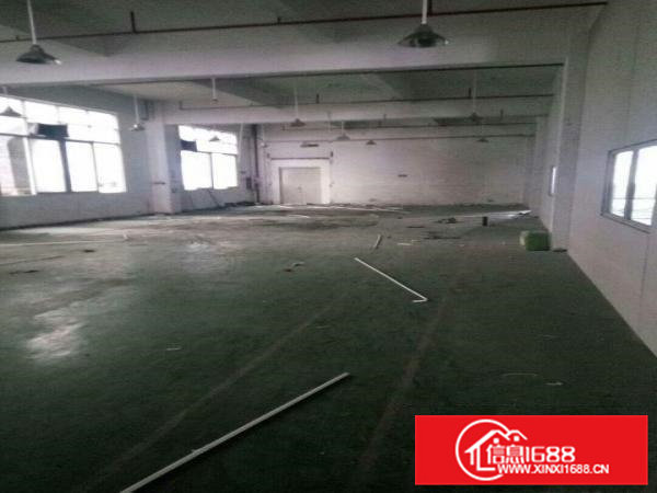 高埗标准厂房分租楼上2、3楼每层1000平出租