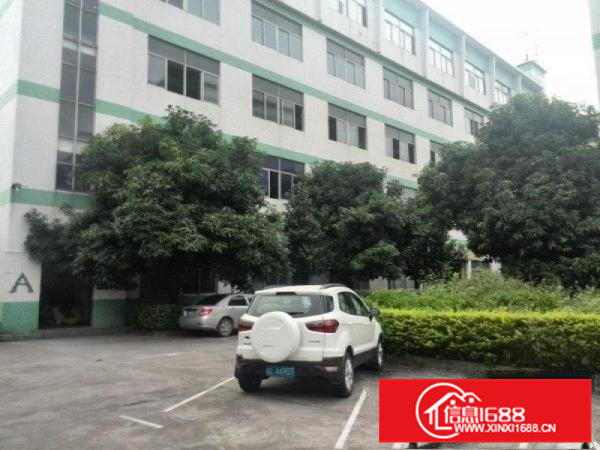 陈江带装修小厂房出租200到800平米