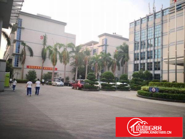 横岗原房东楼上1100平带装修厂房招租