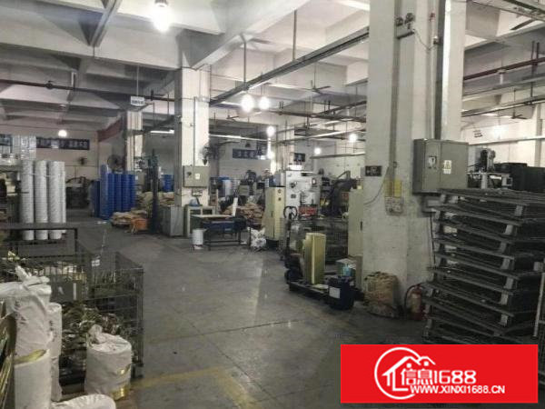 龙岗区同乐一楼1500平方高度6米低价招租，可分租