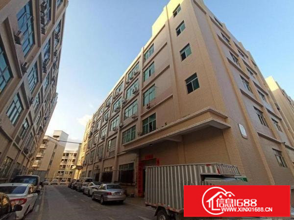 坂田下雪厂房500出租无公摊原房东