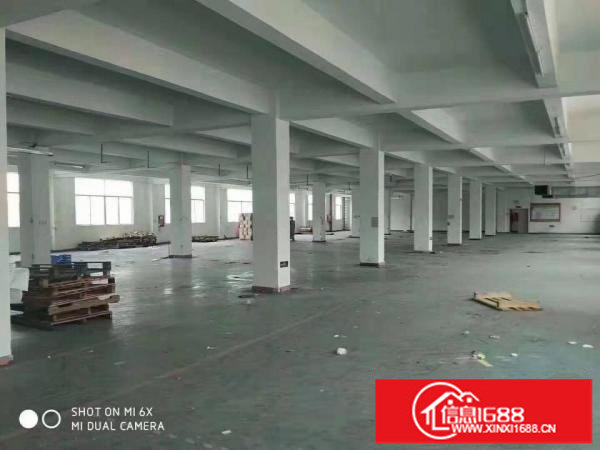 龙岗坪地原房东厂房适合高新产业电子贸易科技医疗研发等