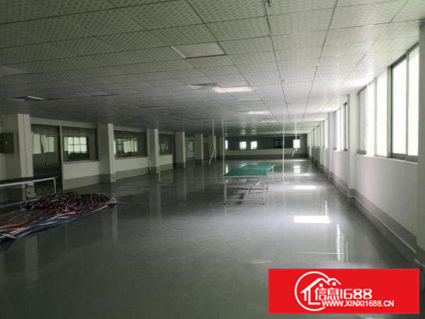 田心楼上1300平米带豪华精装修厂房出租