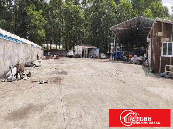 原房东独院钢构?空地2400平出租