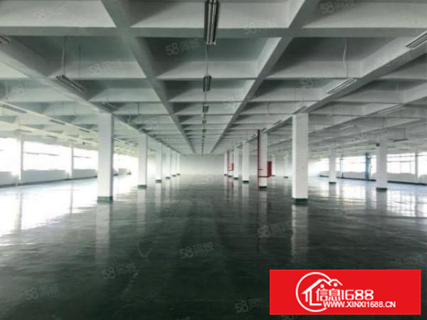 独门独院，乐从工业区17000方标准厂房带办公宿舍楼可办环评