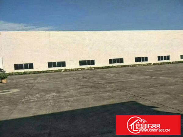 （出租）原房东砖墙到顶单一层独院5500滴水13米