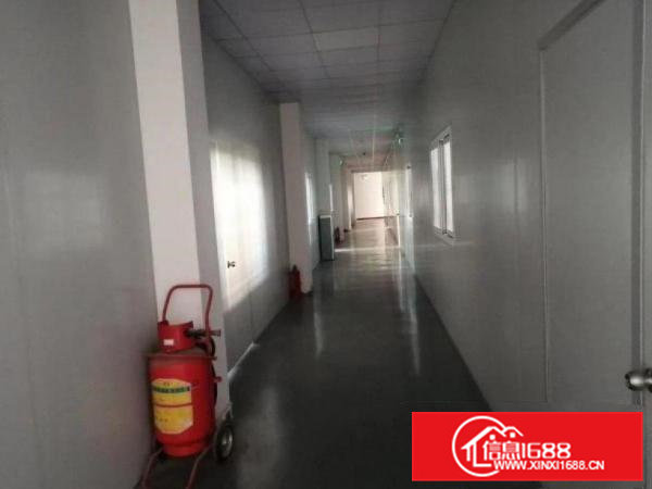 出租清溪镇振兴围新出楼上1500豪华装修水电齐全