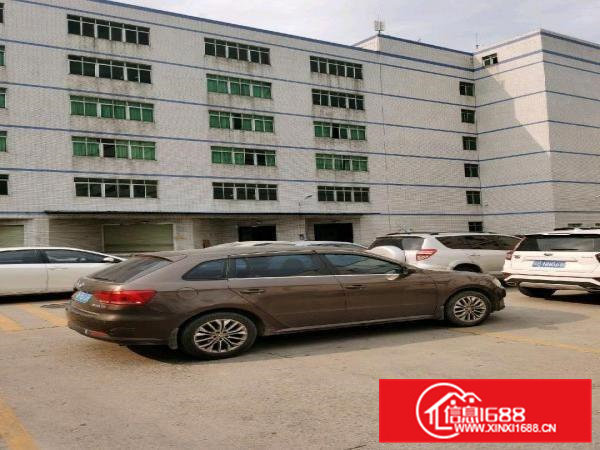 疫情影响捡漏机会即租即用东坑镇厂房便宜出租