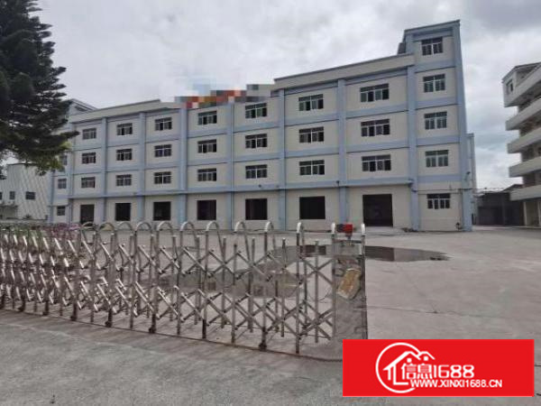 高埗原房东厂房出租，25000平，无公摊，空地超大