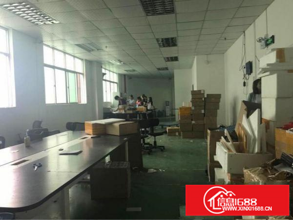 观澜泗黎路边新出300平方，水电齐全，办公室装修