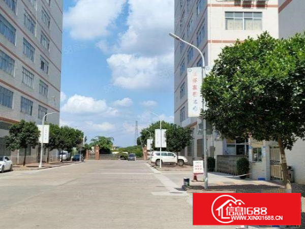 清溪三中工业区一二楼总3600平带精装修办公室超大空地可分租