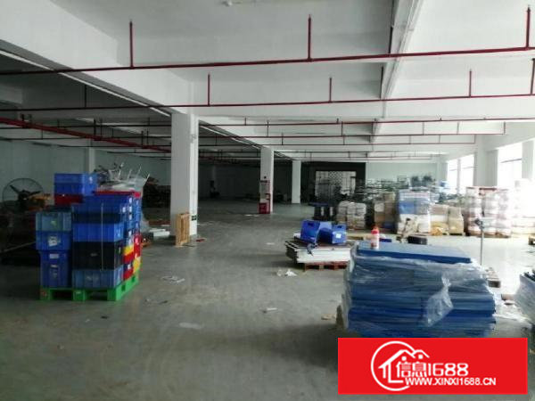 铁松附近，4层。单1层2400平，5.8米，19面谈