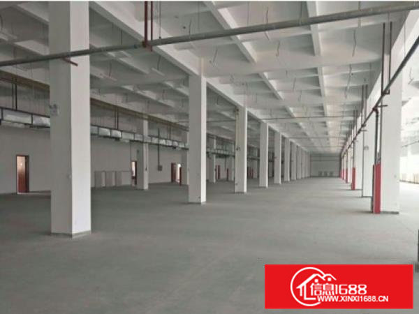 常平岗梓现有厂房共4900平方出租