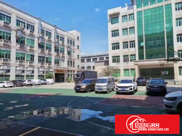 桥头镇园区精装修厂房950平方招租，工业用地，可办环评