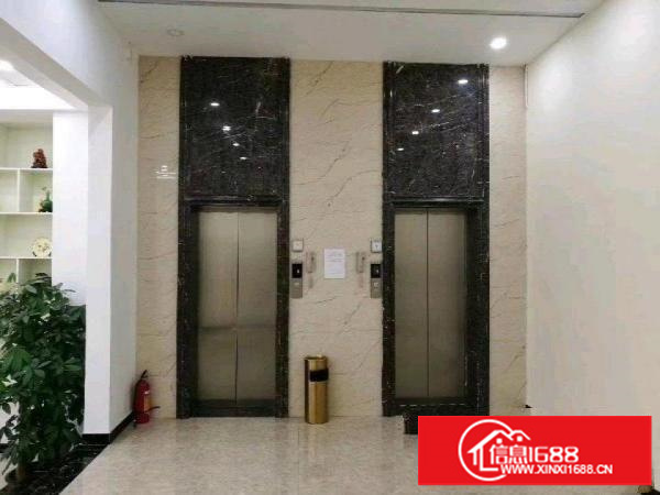 丹竹头红棉路仓库1000平米