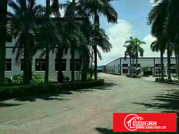 企石花园式正规标准厂房12000平大小可分租