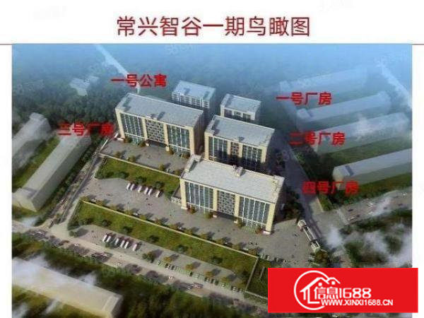 全新厂房大型工业区内独栋厂房大小可分租房东直租