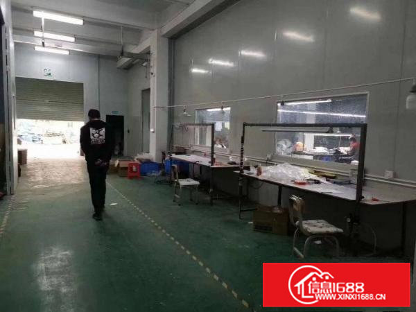 清溪三中原房东标准厂房一楼586平米带装修出租