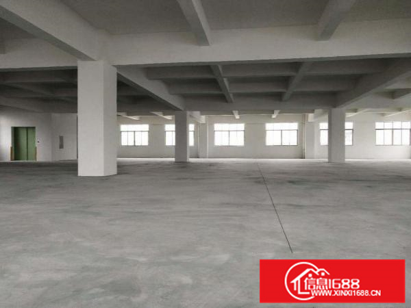 带卸货台、空地大，顺德伦教1600方标准厂房出租