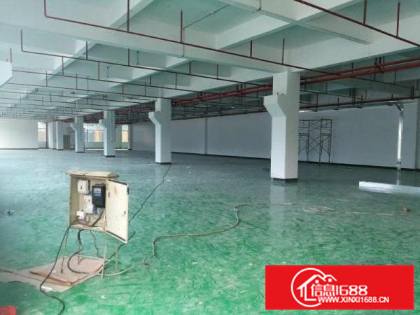 镇隆原业主独院1~4层标准厂房面积8000平米出租