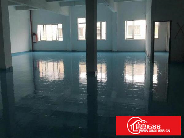 沙头新出独门独院厂房分租