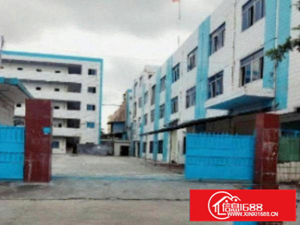 高埗标准厂房一楼800平，精装修办公室，可办环评