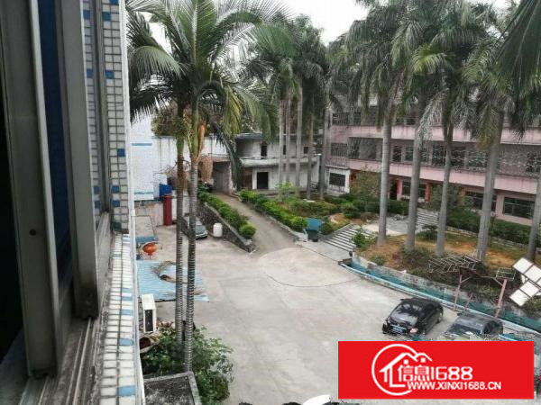 龙岗同乐高速路口附近一楼厂房可分租五金行业适合