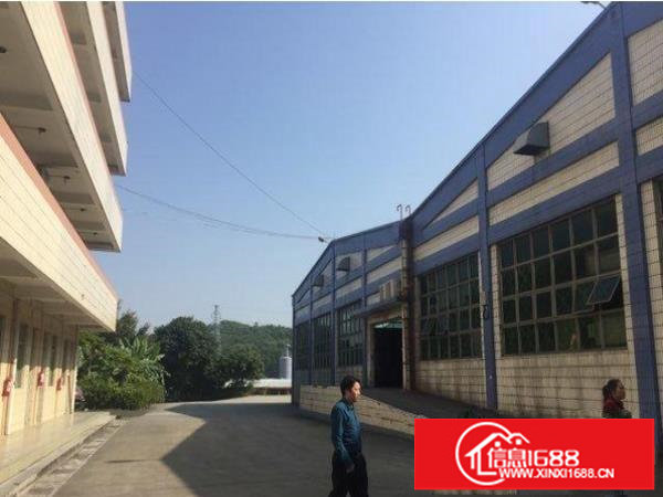 平湖上木古独院钢构厂房2600平出租交通方便空地大