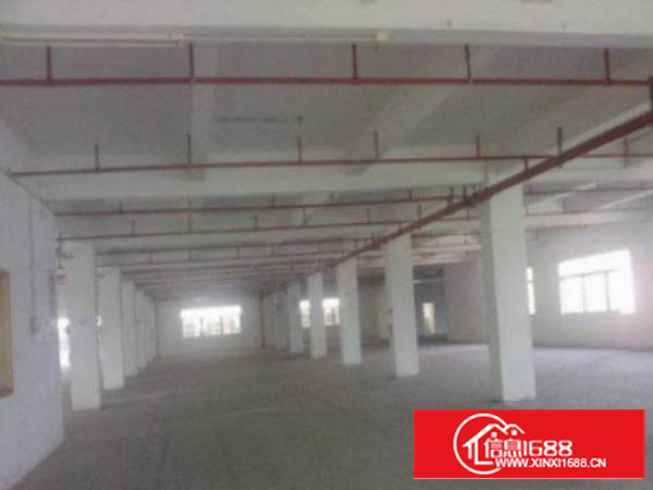 万江周边1000、2000、3000平方1出租适合机械