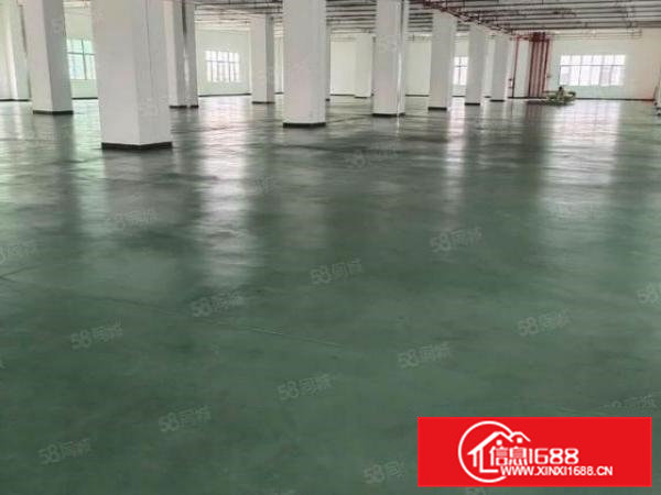 全新原房东标准独院厂房出租，大小可分租整租