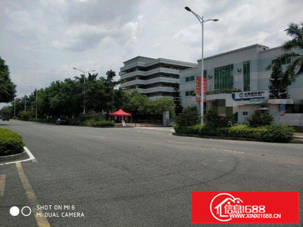 东莞市高埗靓花园式独院厂房