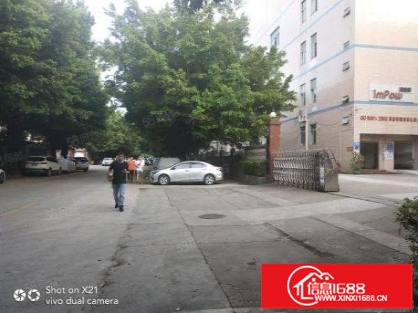 平湖富民工业区9200平米招租，每层2300平米，可分租，