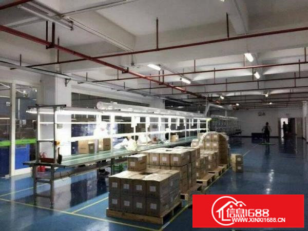 龙岗宝龙楼上2480平红本精装修厂房出租，免转让