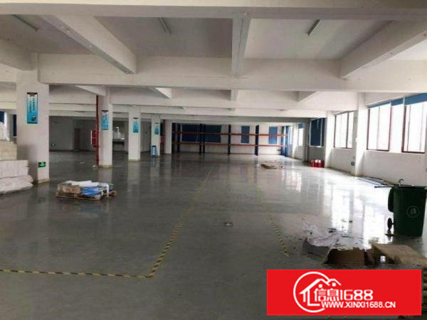 出租龙岗区中心城楼上1000平方拎包入住不要转让费