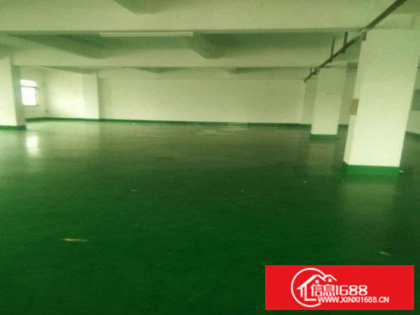 仲恺潼侨新出电商仓库590平急租整租