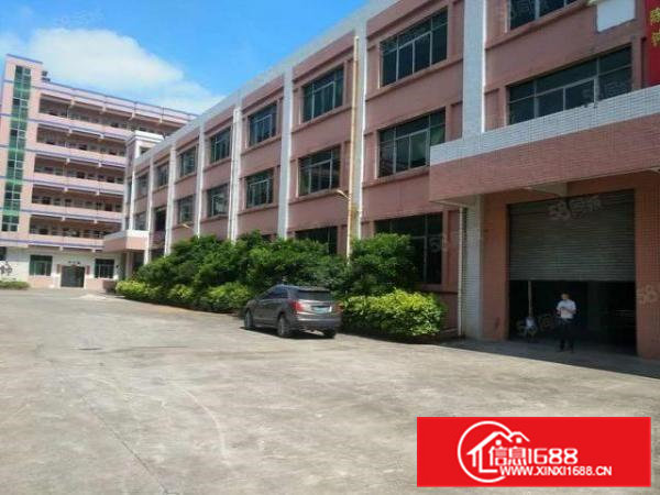 寮步石龙坑原房东一楼18元出租600平方