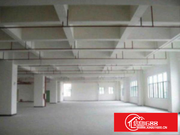 万江标准11500平方米;层高6米;水电线路齐全;空地